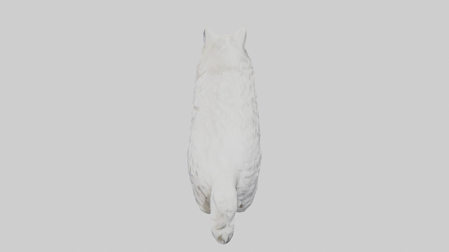Norwegian Forest Cat statue model VR / AR / low-poly