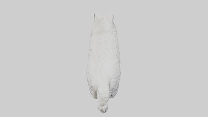 Norwegian Forest Cat statue model VR / AR / low-poly
