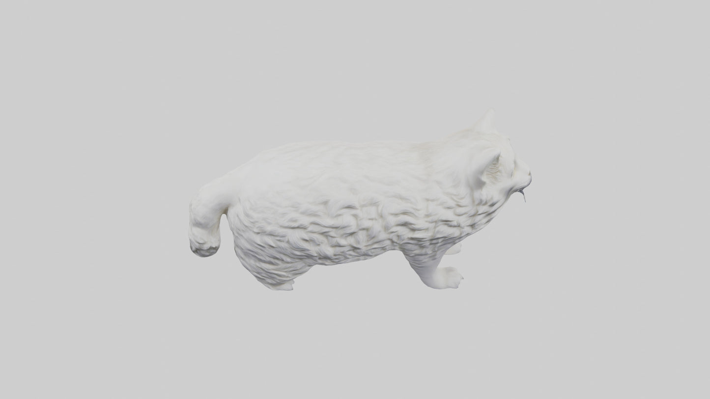 Norwegian Forest Cat statue model VR / AR / low-poly