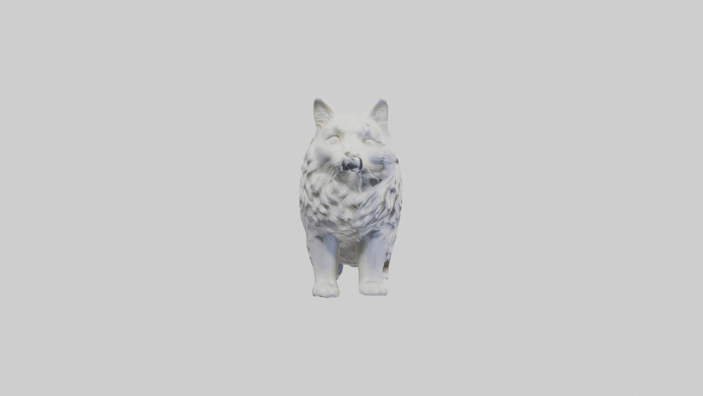 Norwegian Forest Cat statue model VR / AR / low-poly