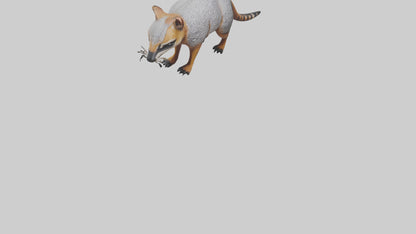 3D model Numbat sniffing model VR / AR / low-poly