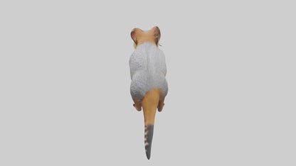 3D model Numbat sniffing model VR / AR / low-poly