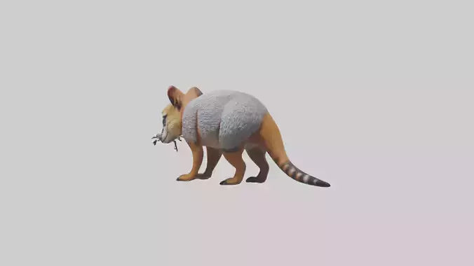 3D model Numbat sniffing model VR / AR / low-poly