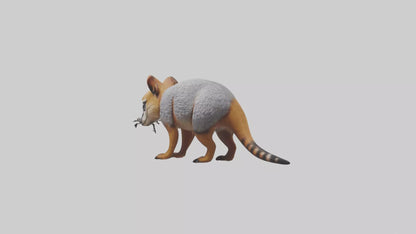 3D model Numbat sniffing model VR / AR / low-poly