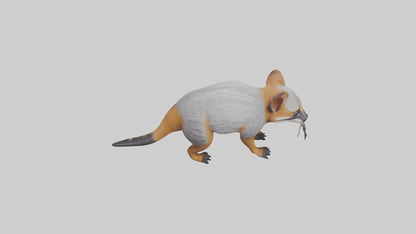 3D model Numbat sniffing model VR / AR / low-poly
