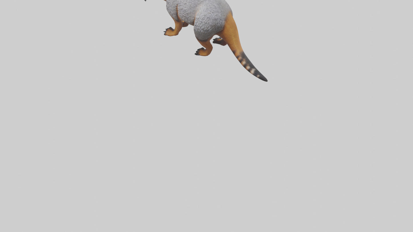 3D model Numbat sniffing model VR / AR / low-poly