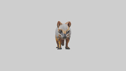 3D model Numbat sniffing model VR / AR / low-poly