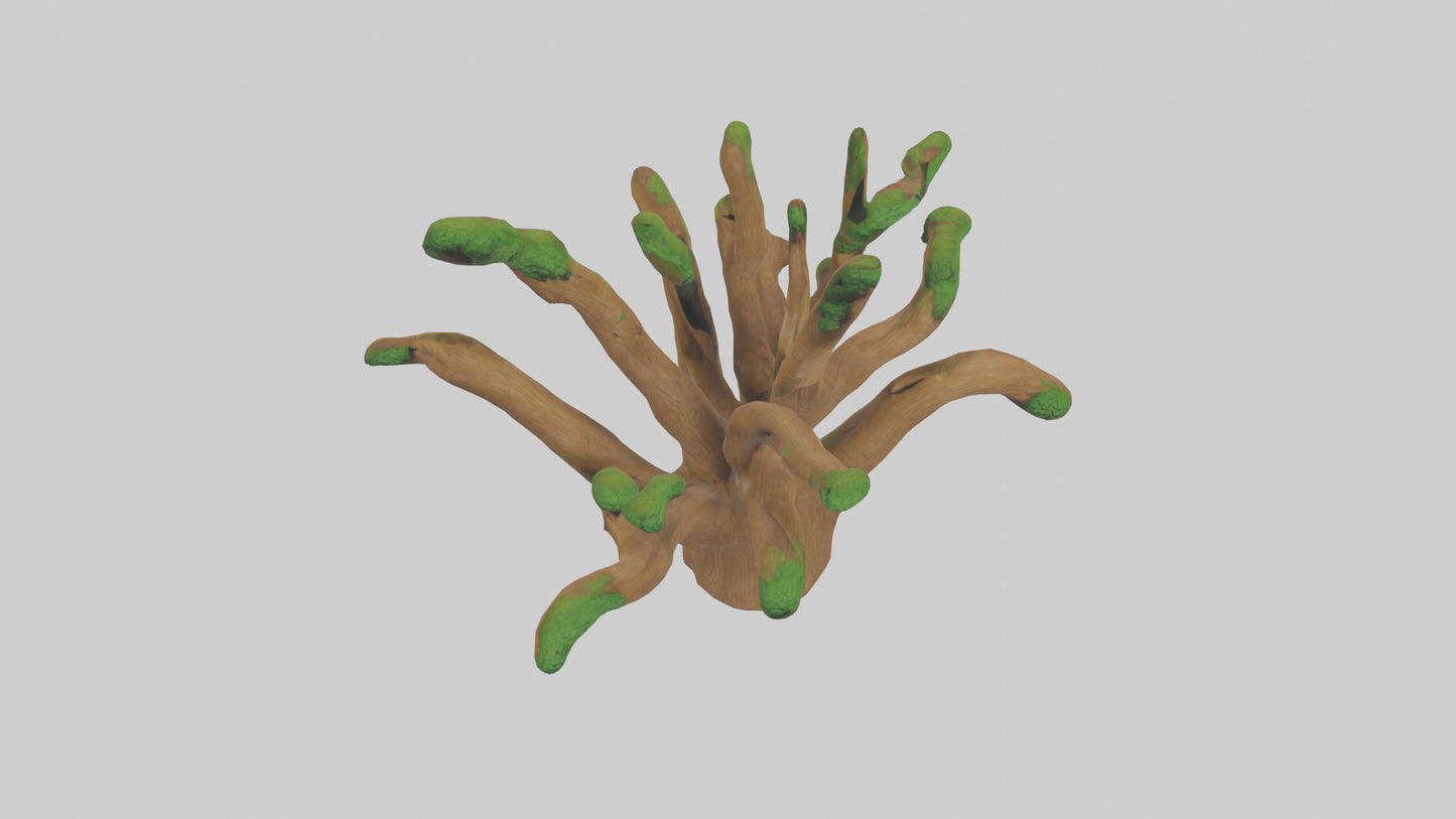 3D model Oak Tree Model VR / AR / low-poly