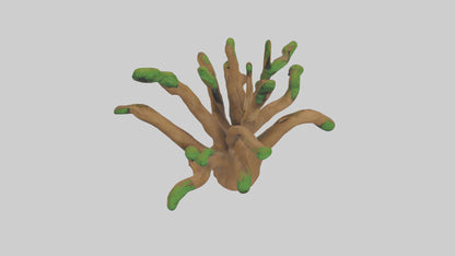 3D model Oak Tree Model VR / AR / low-poly