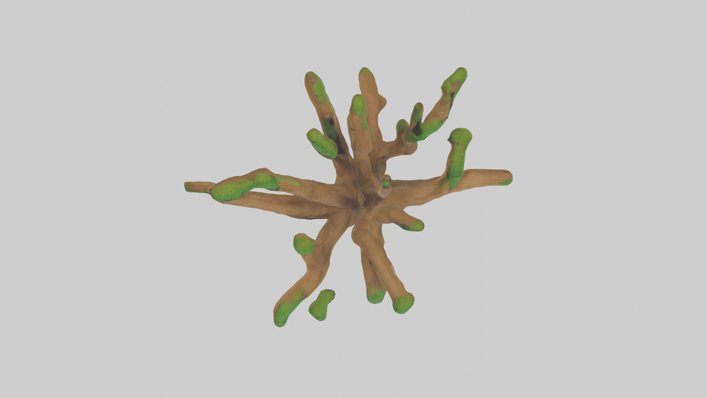3D model Oak Tree Model VR / AR / low-poly