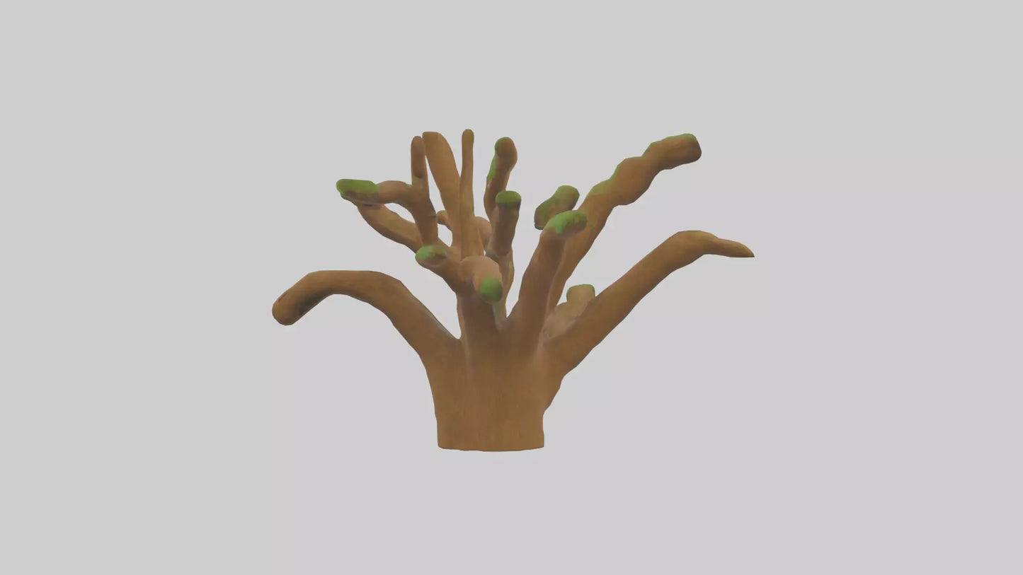 3D model Oak Tree Model VR / AR / low-poly