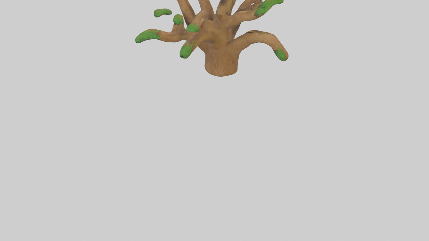 3D model Oak Tree Model VR / AR / low-poly