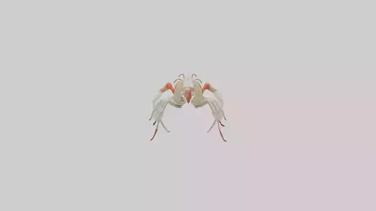 3D model obster Skeleton model VR / AR / low-poly