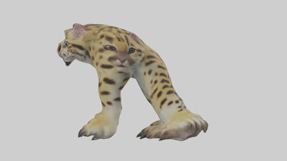 Ocelot Paws Model 3D model