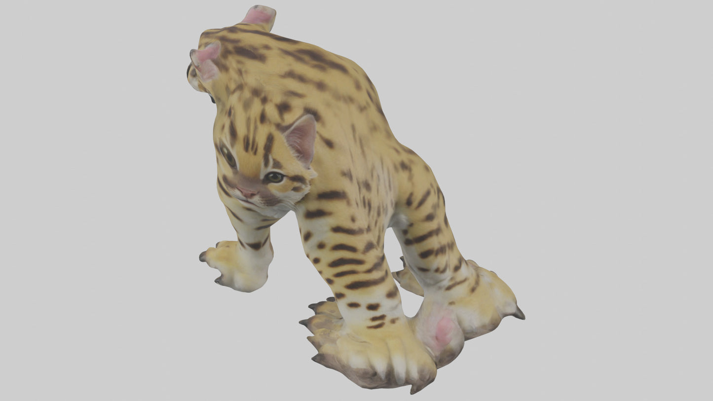 Ocelot Paws Model 3D model