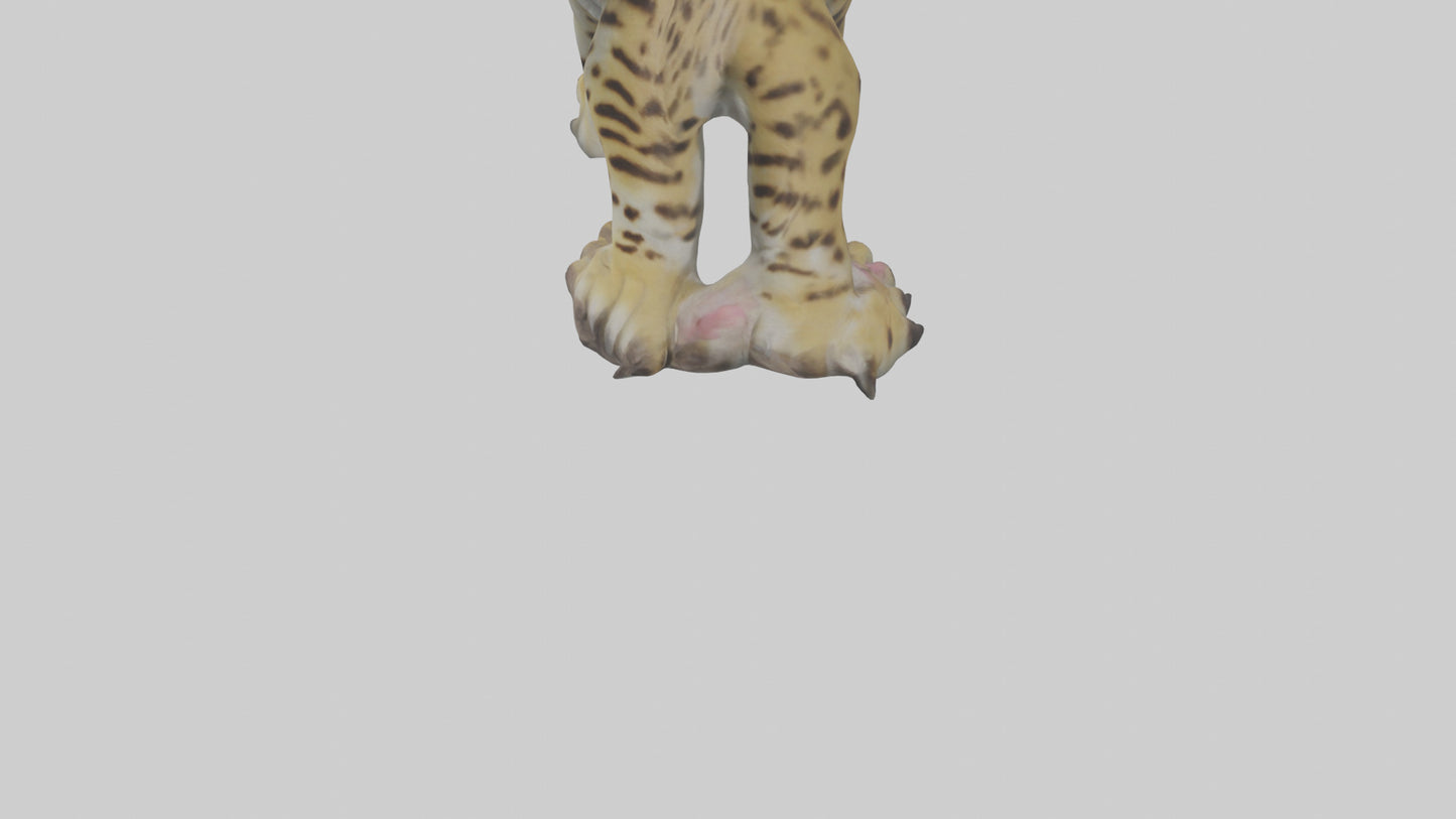 Ocelot Paws Model 3D model