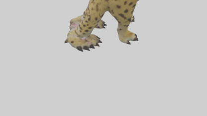 Ocelot Paws Model 3D model