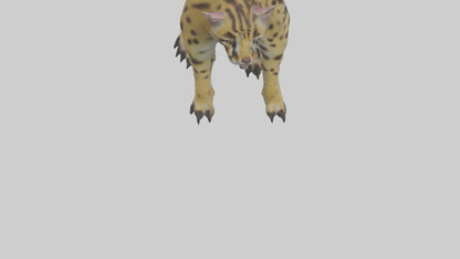 Ocelot Paws Model 3D model