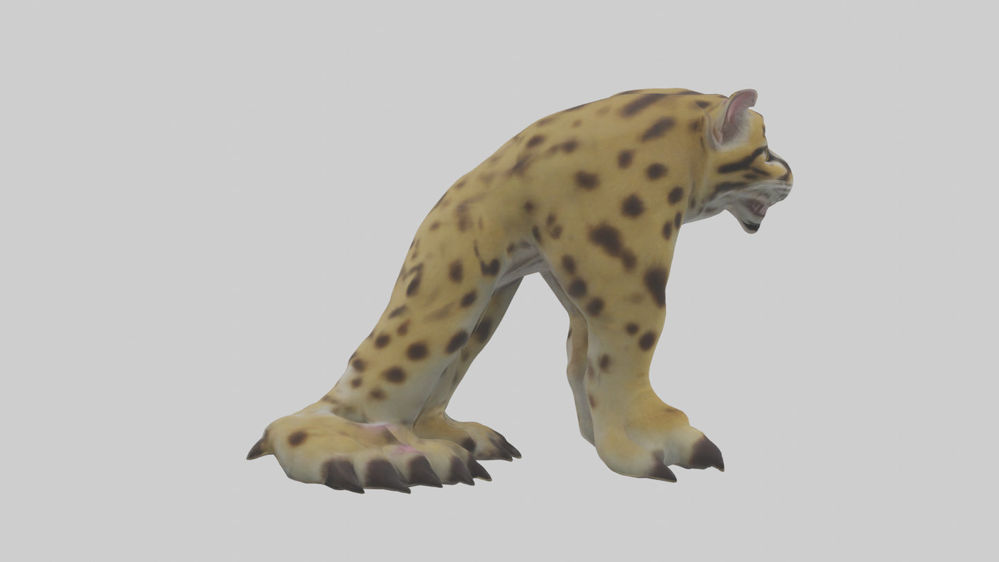 Ocelot Paws Model 3D model