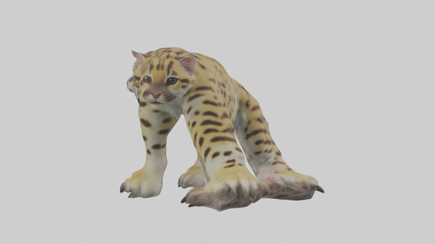 Ocelot Paws Model 3D model