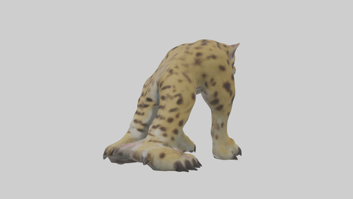 Ocelot Paws Model 3D model