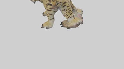Ocelot Paws Model 3D model