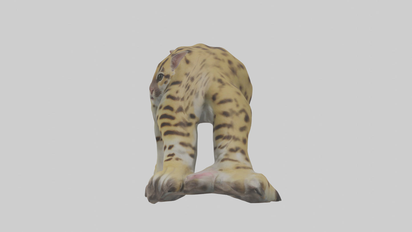 Ocelot Paws Model 3D model