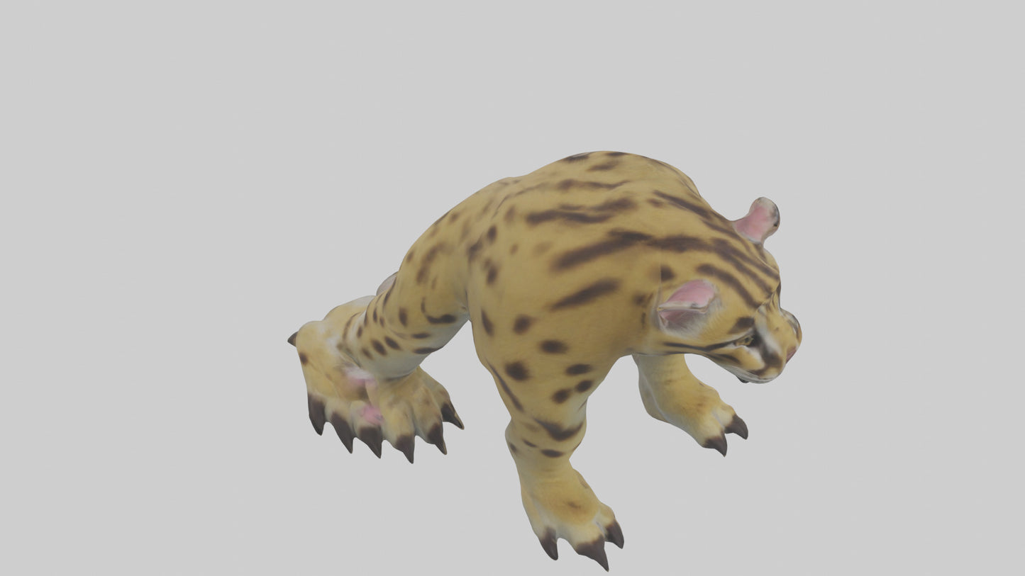 Ocelot Paws Model 3D model