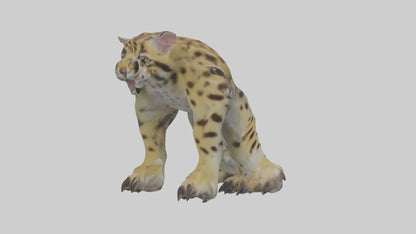 Ocelot Paws Model 3D model