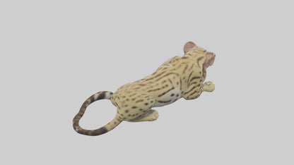 3D model Ocelot resting model VR / AR / low-poly