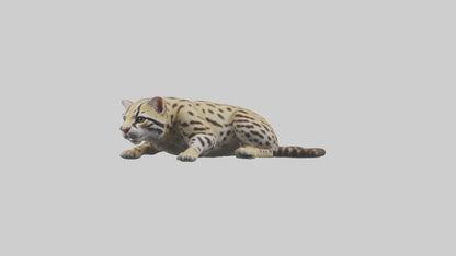 3D model Ocelot resting model VR / AR / low-poly