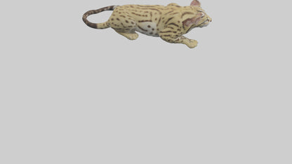 3D model Ocelot resting model VR / AR / low-poly