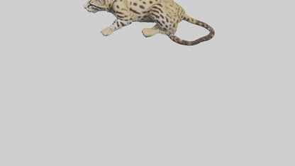 3D model Ocelot resting model VR / AR / low-poly