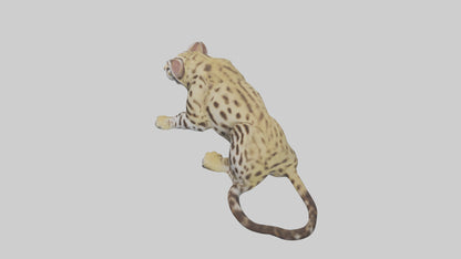 3D model Ocelot resting model VR / AR / low-poly