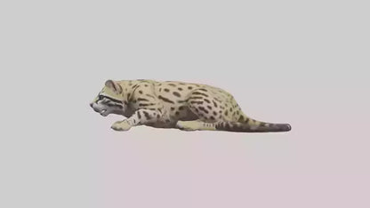 3D model Ocelot resting model VR / AR / low-poly