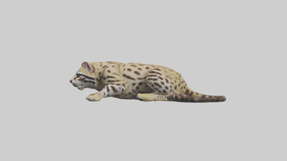 3D model Ocelot resting model VR / AR / low-poly