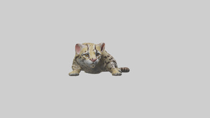 3D model Ocelot resting model VR / AR / low-poly