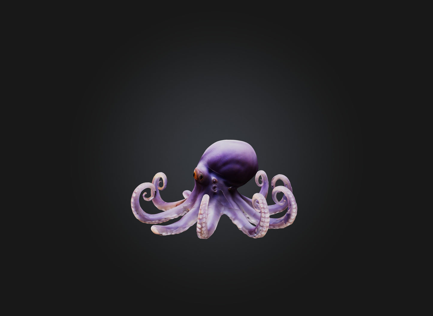 3D model octopus VR / AR / low-poly