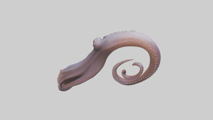 3D model Octopus Beak Model VR / AR / low-poly