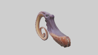 3D model Octopus Beak Model VR / AR / low-poly