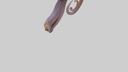 3D model Octopus Beak Model VR / AR / low-poly