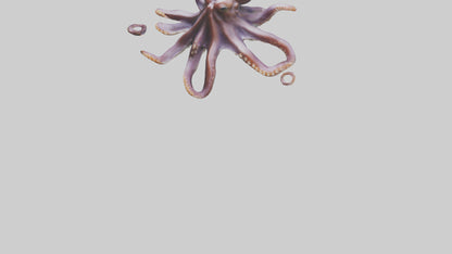 3D model Octopus exploring model VR / AR / low-poly