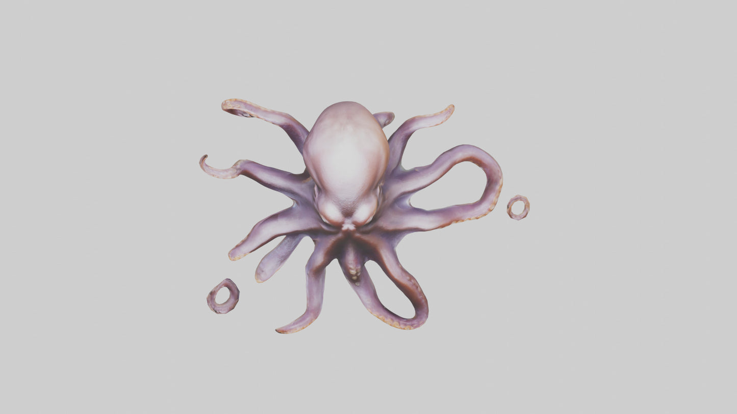 3D model Octopus exploring model VR / AR / low-poly