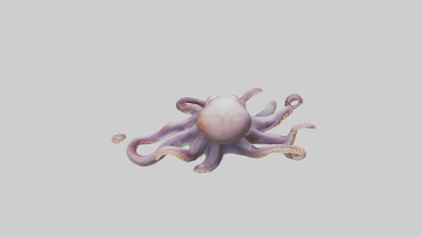 3D model Octopus exploring model VR / AR / low-poly