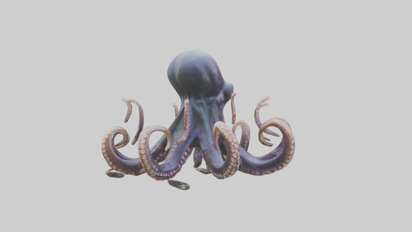 Octopus statue model VR / AR / low-poly
