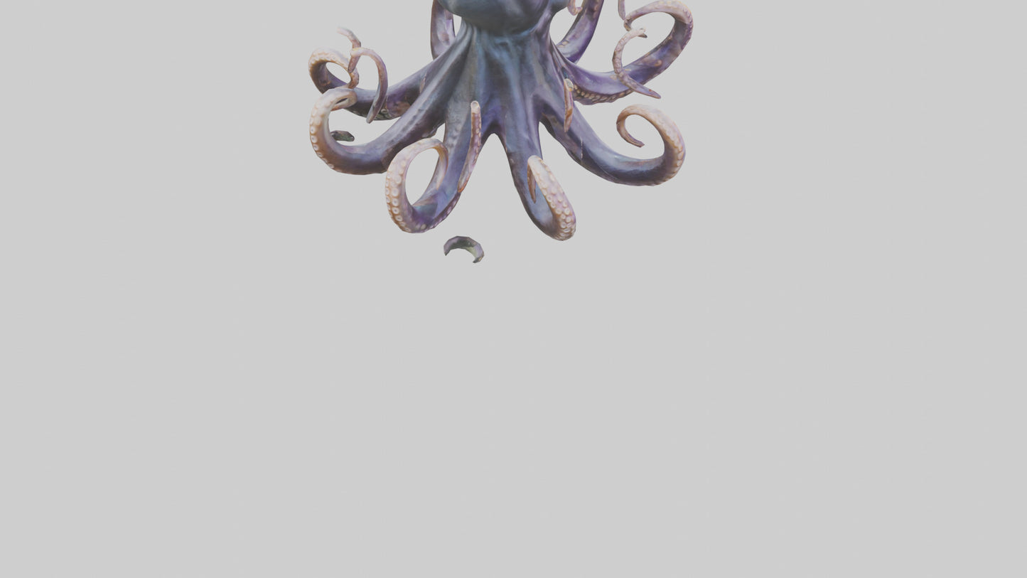 Octopus statue model VR / AR / low-poly