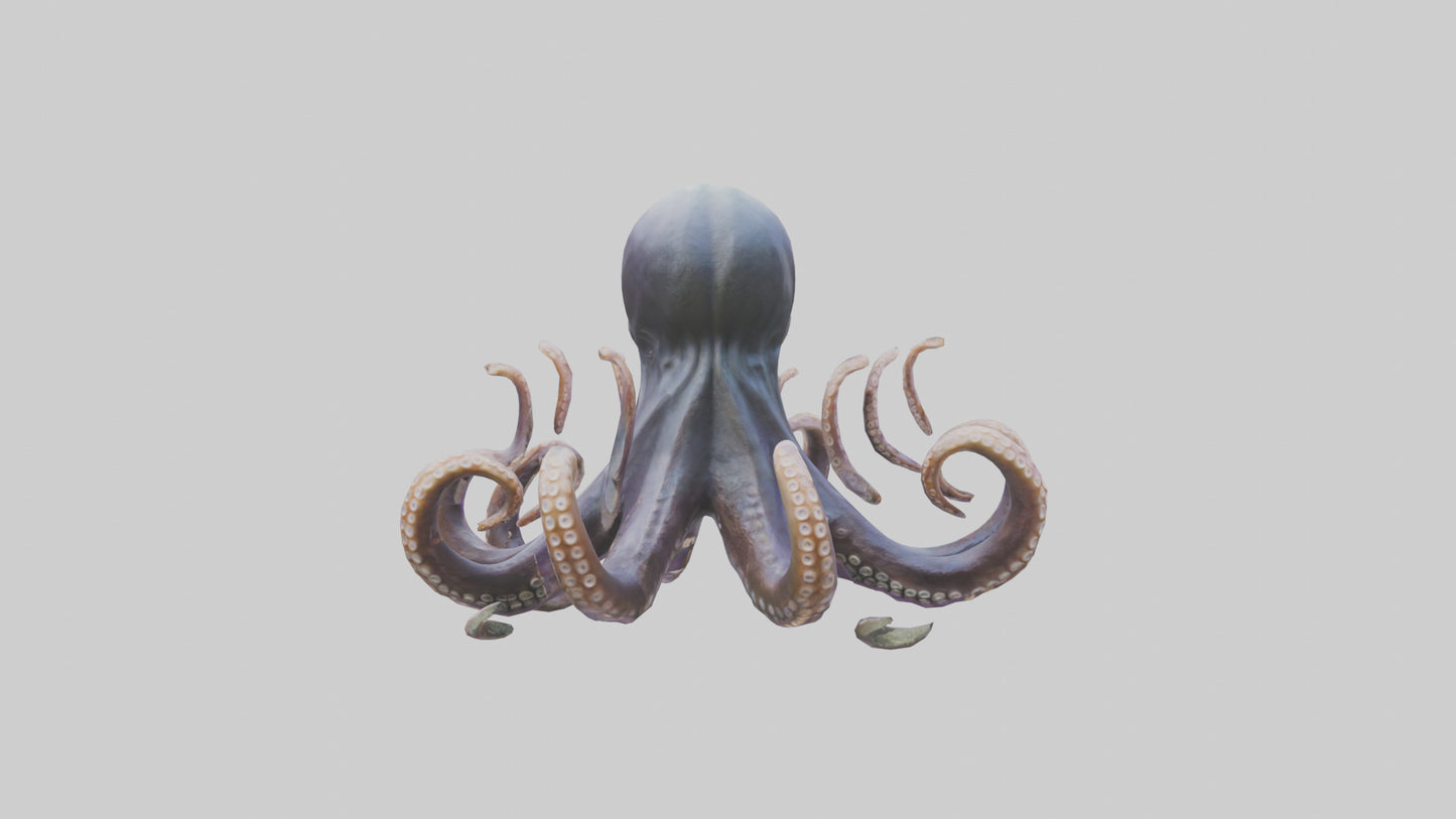 Octopus statue model VR / AR / low-poly