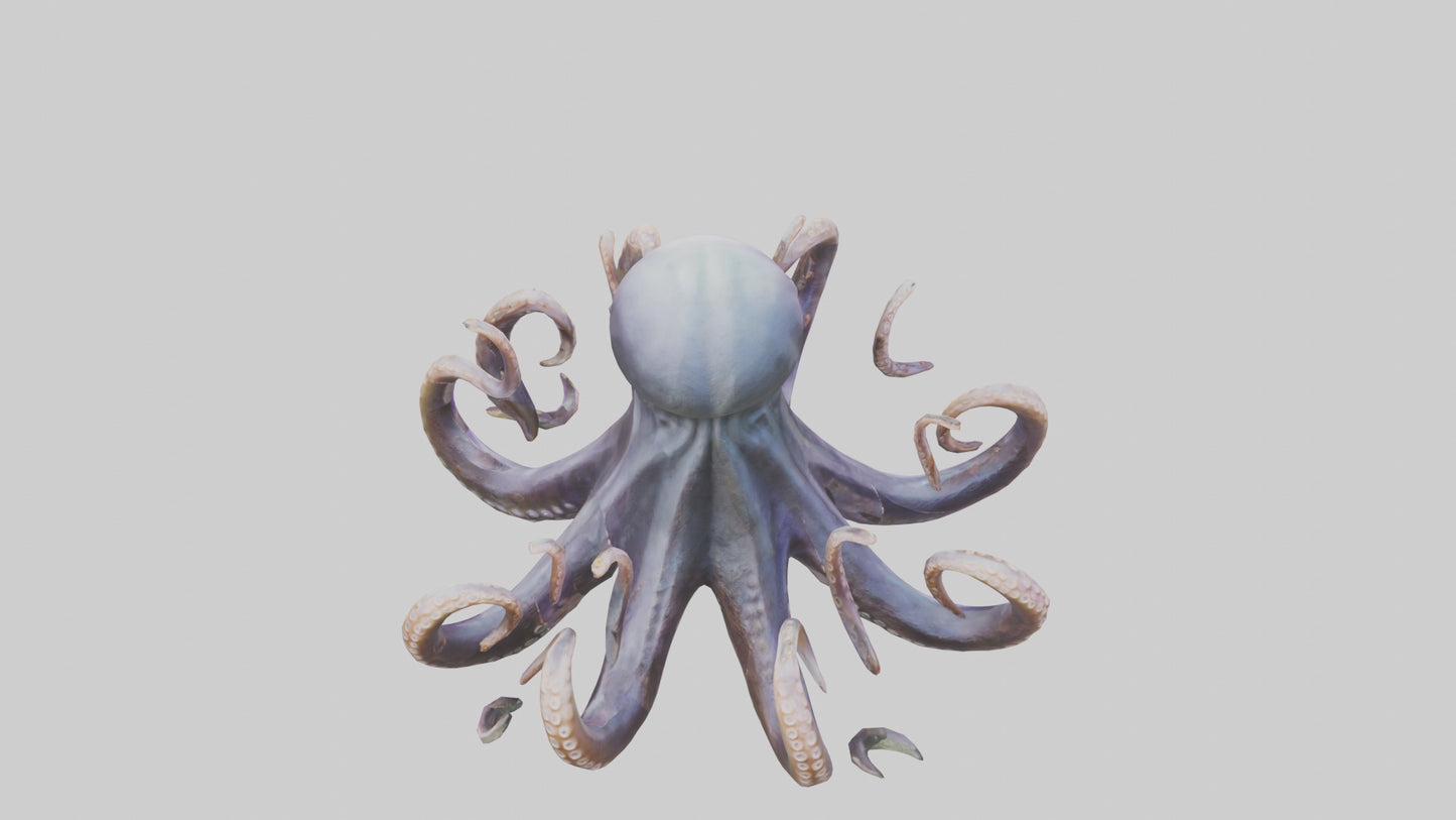 Octopus statue model VR / AR / low-poly