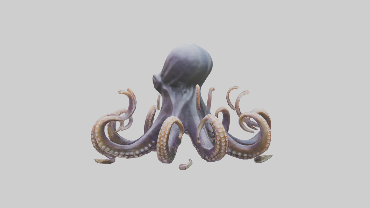 Octopus statue model VR / AR / low-poly