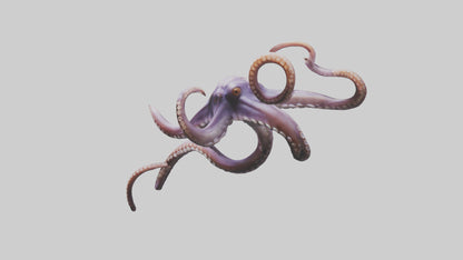 3D model Octopus Tentacles Model VR / AR / low-poly